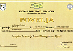 Champion-Bosnien-Herzegowina