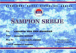 Champion of Serbia