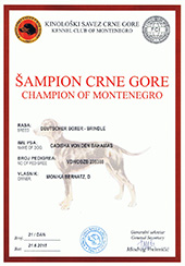 Champion of Montenegro
