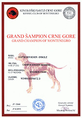 Grand Champion of Montenegro