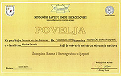 Champion-Bosnien-Herzegowina